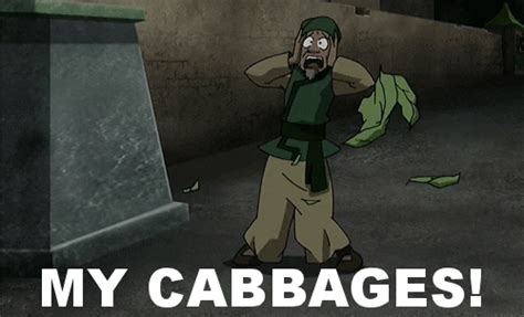 My Cabbages S Find And Share On Giphy