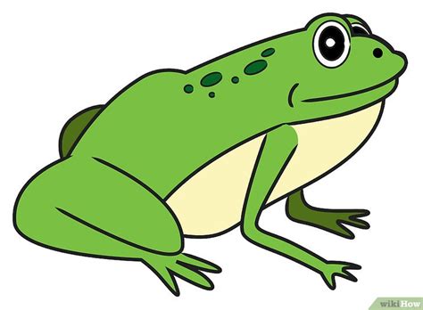| los coronavirus son un gran grupo de virus comunes entre los animales. Pronta per stampare Rana Disegno Colorato - Disegni da ...