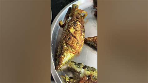 Bhangra Fish Fry Youtube