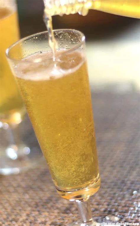 Et pourquoi ne pas proposer à vos amis des cocktails sans alcool en guise d'apéritif? Du Champomy maison avec Sodastream | Recette | Cocktail ...