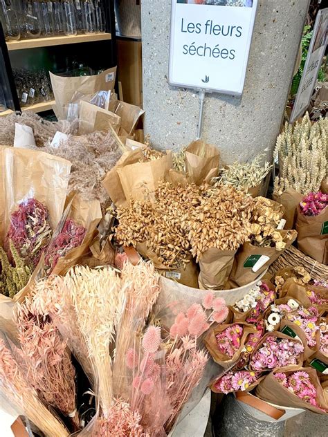 Check spelling or type a new query. Where to Buy the Best Dried Flowers in Paris {5 Spots}