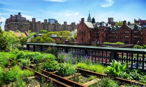 The High Line Park Nyc The Public Park In The Sky