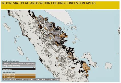 Khor Reports Palm Oil Peatlands In Malaysia And Indonesia Map And
