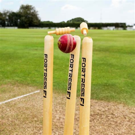 Fortress Wooden Cricket Stumps Icc Regulation Net World Sports