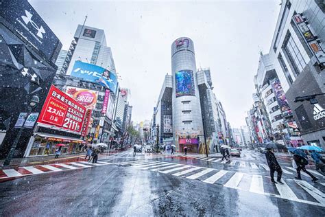 Токио япония — вид на город. Cae nieve en Tokio y los cerezos se cubren de blanco
