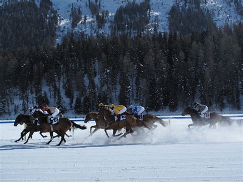 Mykugelhopf Blog Archive Horse Racing On The Frozen