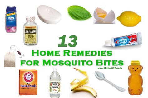 They are insects that once entered homes hardly go away by themselves. Best Home Remedies For Mosquito Bites