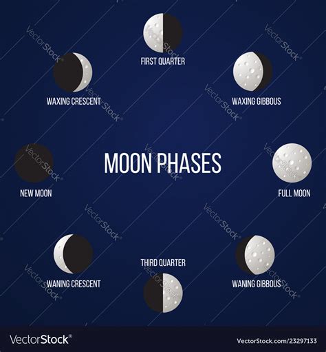 Phases Of The Moon Royalty Free Vector Image Vectorstock
