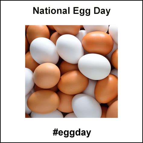National Egg Day June 3 2019 National Egg Day Eggs June 3rd