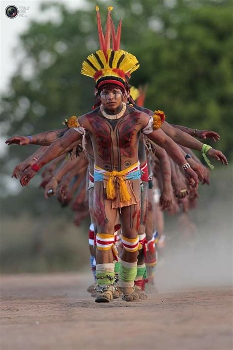 amazonia arte indígena brasileira Índio brasil povos indígenas brasileiros