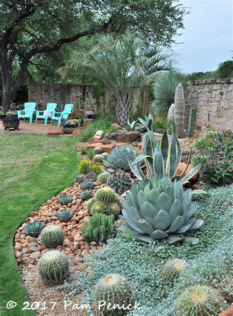 In some plants where the roots get very, very thick, you can take a knife and just cut off the outside of the root ball including the roots. Agave and cactus splendor in the garden of Matt Shreves ...