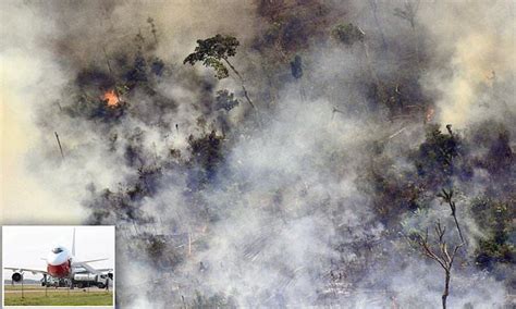Jair Bolsonaro Is Forced Into Action Over Amazon Wildfire Flipboard