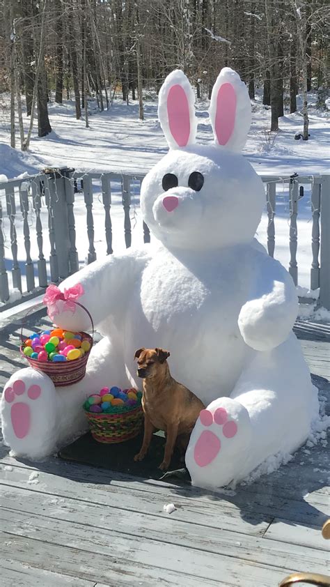 Easter Bunny Snow Sculpture By Dawn Gould With Her Dog Buddy Snow