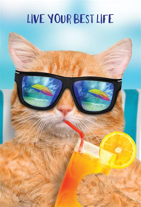 Best Life Cool Cat Funny Birthday Card