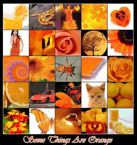 Some Things Are Orange Orange Art You Are Amazing