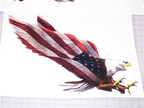 Pair American Flag Eagle 2 Graphic Decal Rv Motorhome Camper Mural