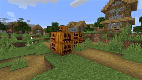 If you plan to take on the wither or enderdragon, you may want to bring a good amount of these along with you. How To Carve Pumpkin In Minecraft & Pumpkin Pie Recipe