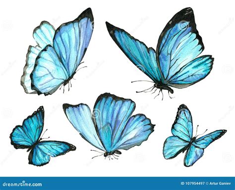 Collection Watercolor Of Flying Blue Butterflies Stock Illustration