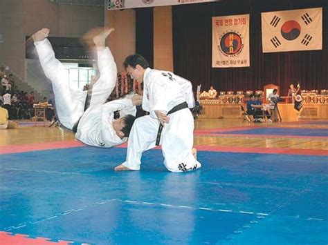 Hapkido Korean Self Defense Joint Locks And Pressure Points Britannica