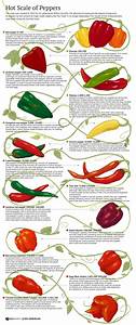 44 Best Images About Chilli Chili Peppers On Pinterest Health