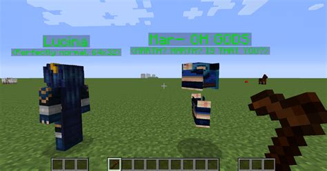 I don't know what to do, i know its in i put the pack in my resourcepacks folder and it doesn't show up, i downloaded it correctly and everything d: You see, THIS is why you don't put 64x64 skins on NPCs in ...