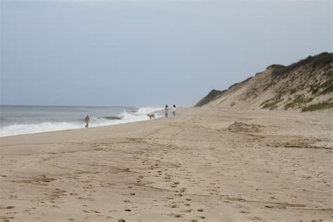 Beaches In Wellfleet Cape Cod Ma Wellfleet Mosey Surfside Marthas