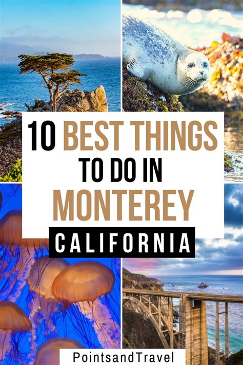 Here Are The 10 Best Things To Do In Monterey California With Its