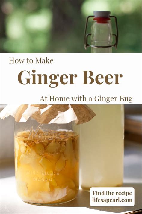 How To Make Ginger Beer At Home Ginger Beer Ginger Bug Fermentation