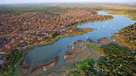 The Okavango Delta Why Its A Must Visit For Nature Lovers Safari