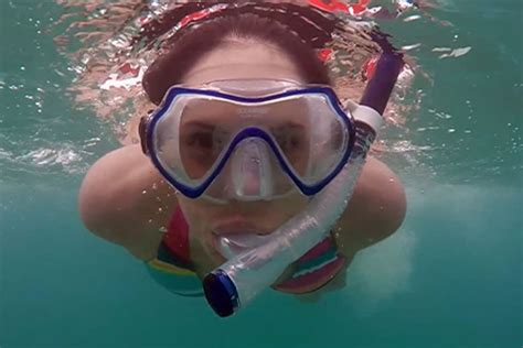 Snorkeling And Scuba Diving In The Bradenton Area