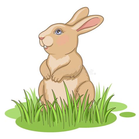 Rabbit In Grass Stock Vector Illustration Of Grass Green 38348622