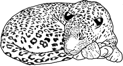 Leopard Print Coloring Page