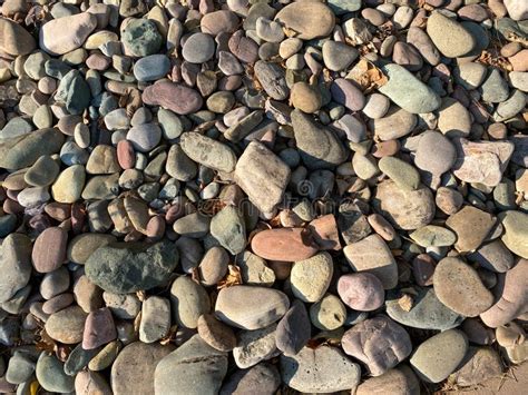 Multicolored And Different Shaped Pebble Rock Stones In Direct Sunlight