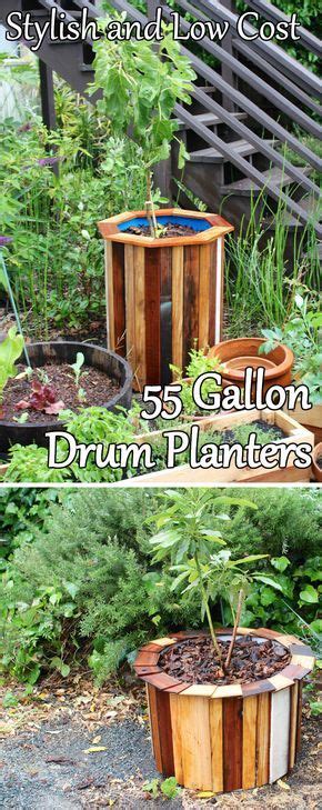 Stylish And Low Cost 55 Gallon Drum Planters 55 Gallon Drum Organic