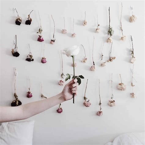 Guaranteed lowest price, fast shipping & free returns, and flower art and gifts from friends. 15 Crafts Made with Dried Flowers