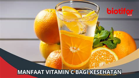 9 Manfaat Vitamin C Meningkatkan Kesehatan Kamu Secara Alami Biotifor