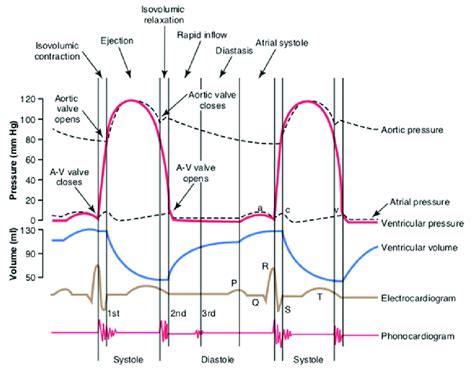Mechanical Events Of Cardiac Cycle