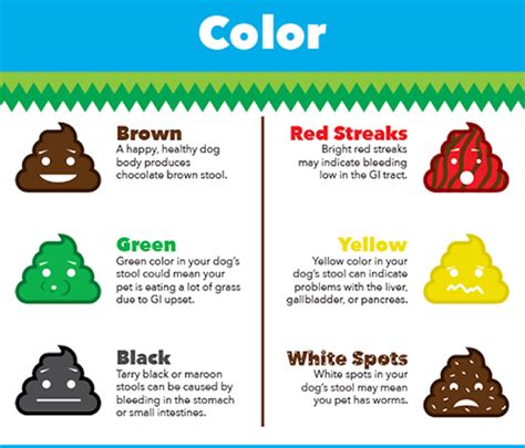 What Do Poop Colors Mean The Meaning Of Color