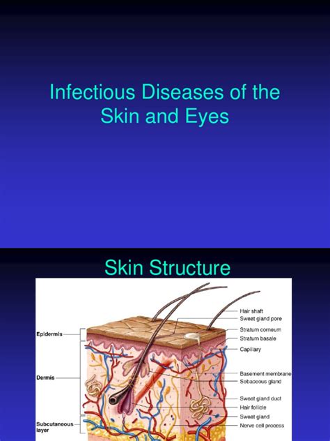 Infectious Diseases Of The Skin And Eyes Pdf Measles Microbiology