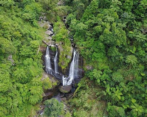 The 15 Best Things To Do In Suva Updated 2023 Must See Attractions
