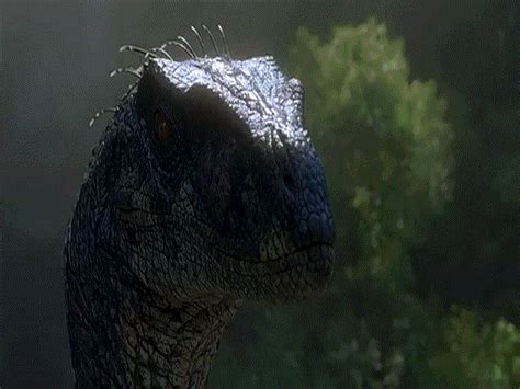 Jurassic Park 4 Updates Possible Plot Summary 3d The Mary Sue