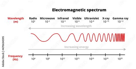 Vector Scientific Illustration Of The Electromagnetic Spectrum Radio