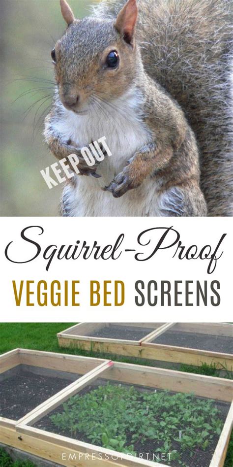 Keep Critters Out Of Veggie Beds With These Screens