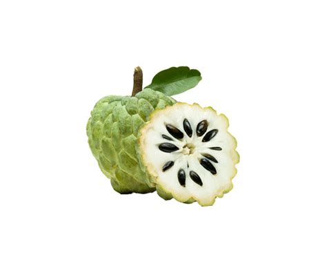 Custard Apple United Agrico