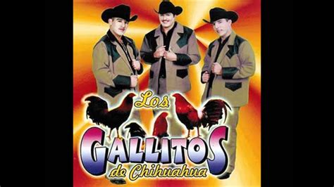 Los Gallitos De Chihuahua En Vivo Youtube