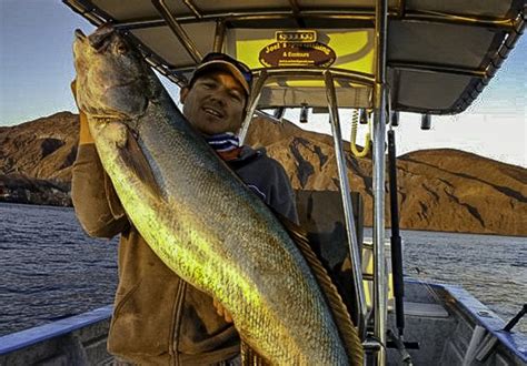Baja Fishing Report Photo 5 Copy Discover Baja Travel Club