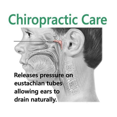 natural ear infection treatment austin chiropractor treats ear infections naturally