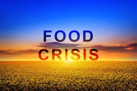 Premium Photo Global Food Crisis And Crop Failure Military Conflict