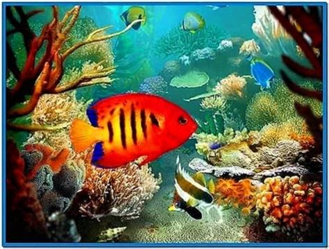 Fish Aquarium Screensaver For Mobile Download Screensaversbiz