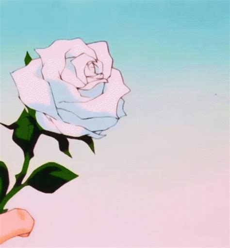 White Aesthetic Rose 
